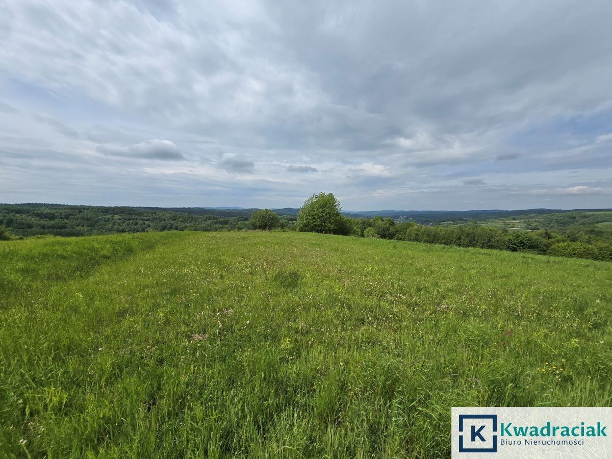 Działka rolna Golcowa. Zdjęcie 2