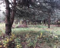 Działka budowlana Ruda, ul. Ogrodowa. Zdjęcie 3