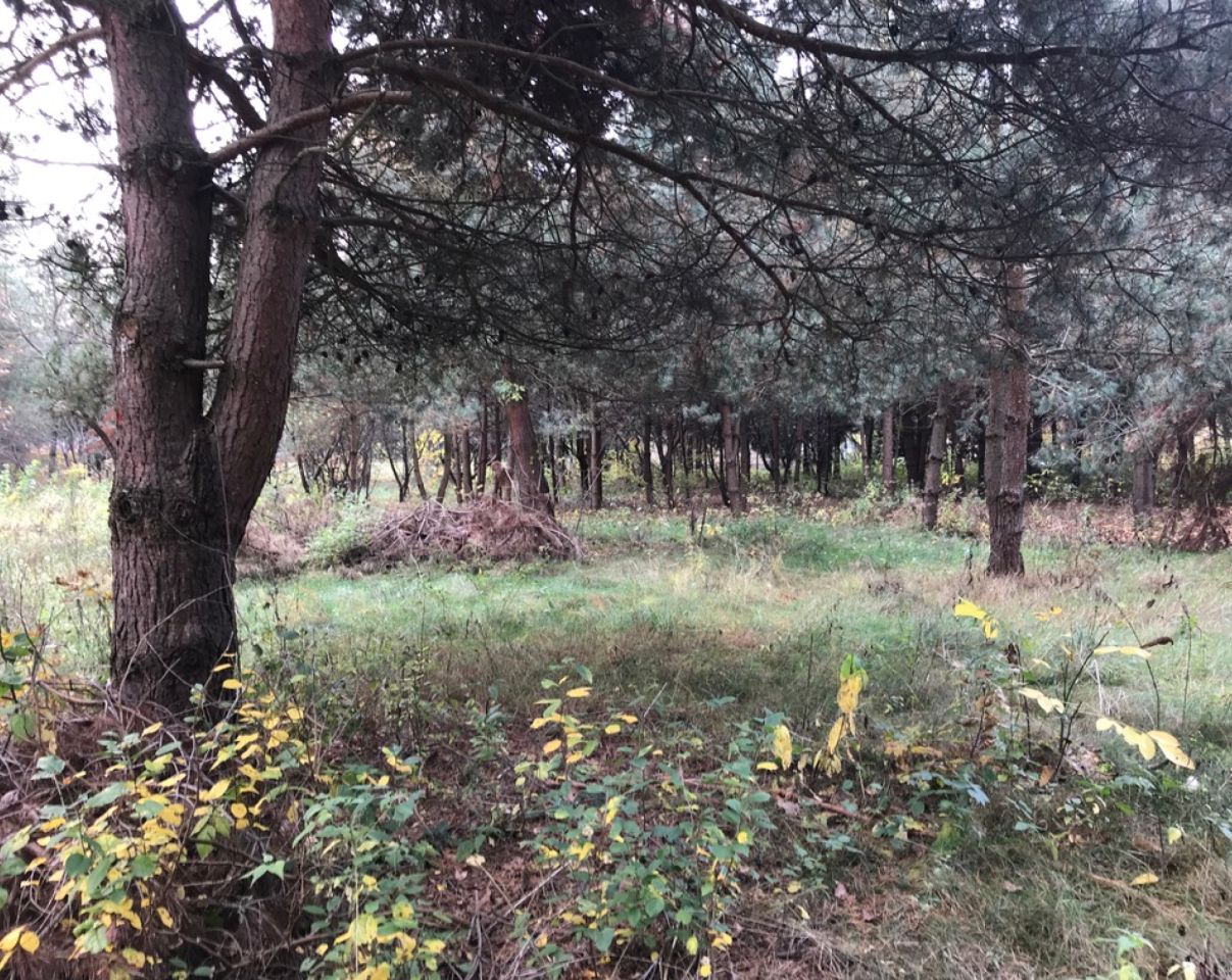 Działka budowlana Ruda, ul. Ogrodowa. Zdjęcie 4