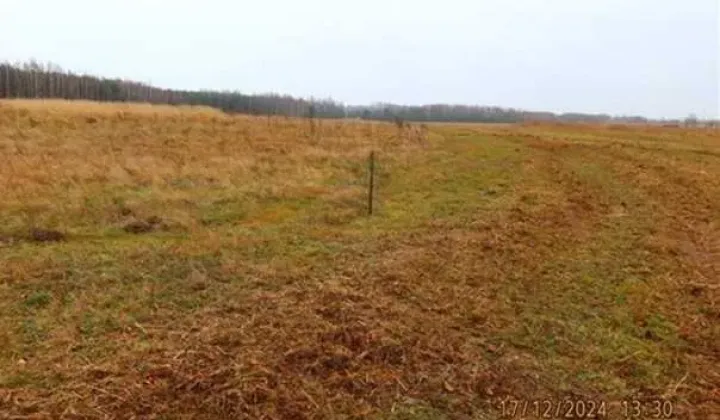 Działka rolna Jamki