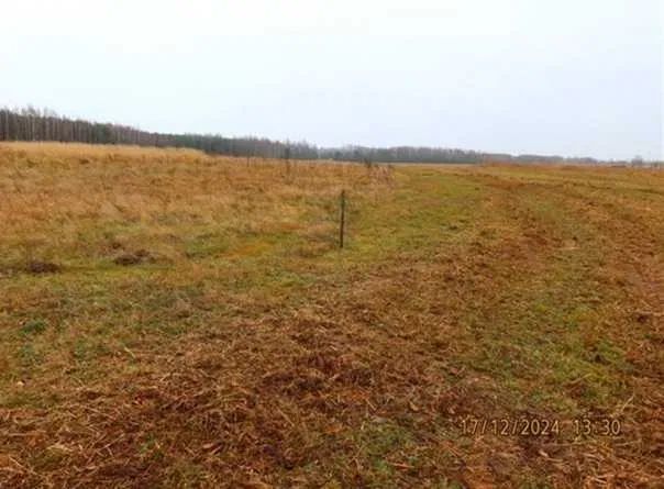 Działka rolna Jamki. Zdjęcie 1
