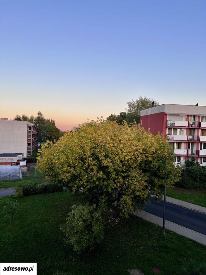 Mieszkanie 3-pokojowe Tychy Paprocany, ul. Alfonsa Zgrzebnioka. Zdjęcie 16