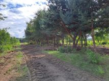 Działka Kostomłoty Pierwsze, ul. Podmiejska. Zdjęcie 3