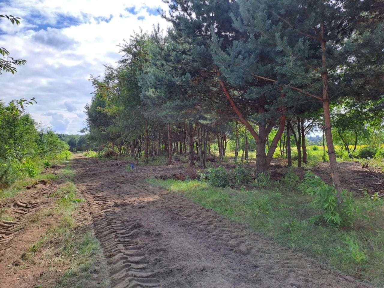 Działka Kostomłoty Pierwsze, ul. Podmiejska. Zdjęcie 4