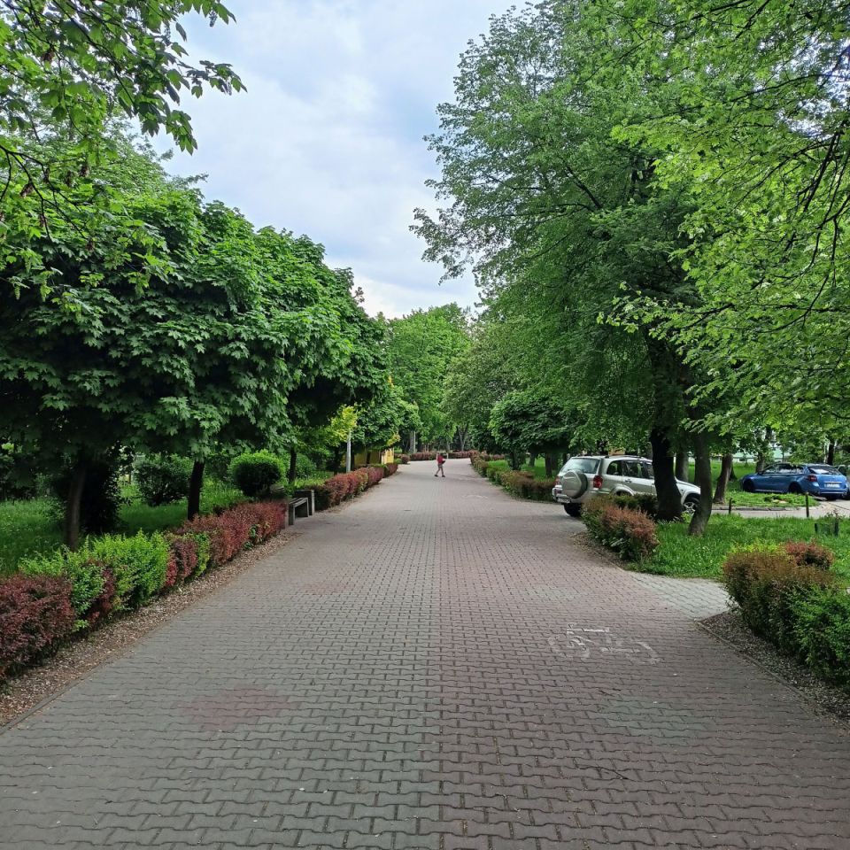 Mieszkanie 3-pokojowe Zamość, ul. Elizy Orzeszkowej. Zdjęcie 9