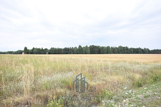 Działka siedliskowa Górka. Zdjęcie 2