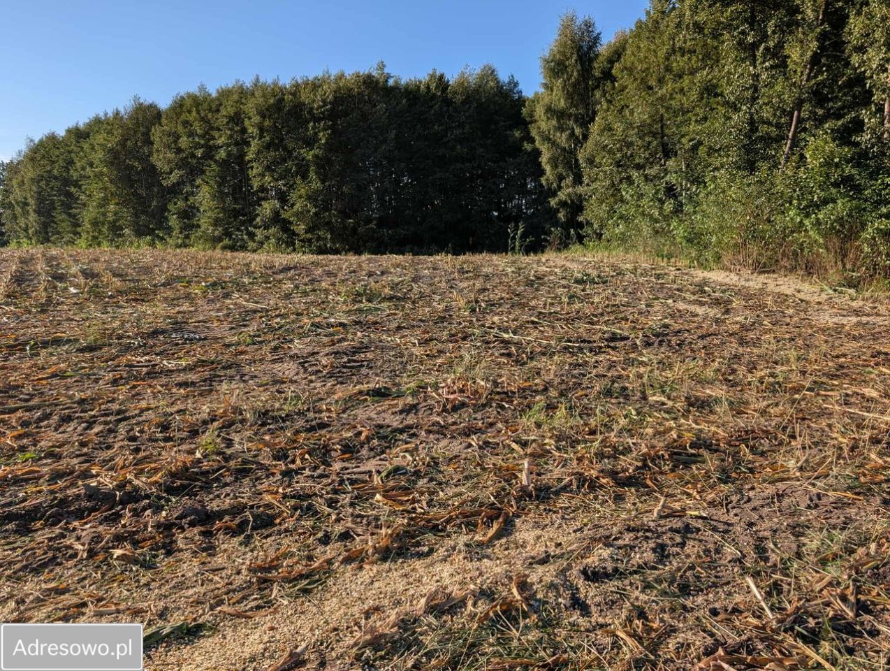 Działka budowlana Serock, ul. Leśna. Zdjęcie 8