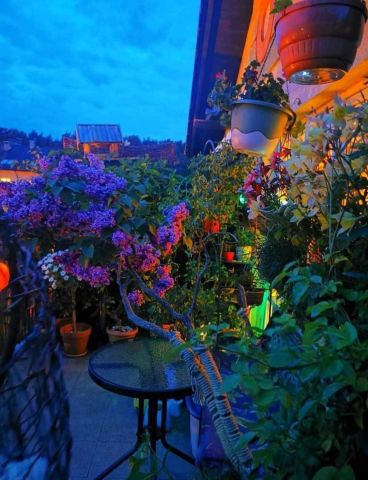 Mieszkanie 2-pokojowe Gdynia Dąbrowa. Zdjęcie 1