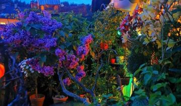 Mieszkanie 2-pokojowe Gdynia Dąbrowa