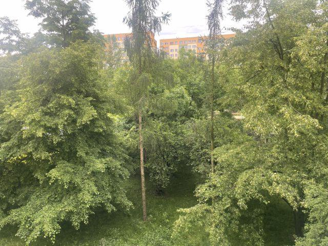 Mieszkanie 3-pokojowe Wrocław, ul. Kiełczowska. Zdjęcie 6