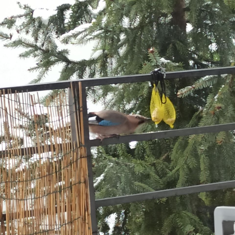 Mieszkanie 1-pokojowe Kraków Prokocim, ul. Konwaliowa. Zdjęcie 19