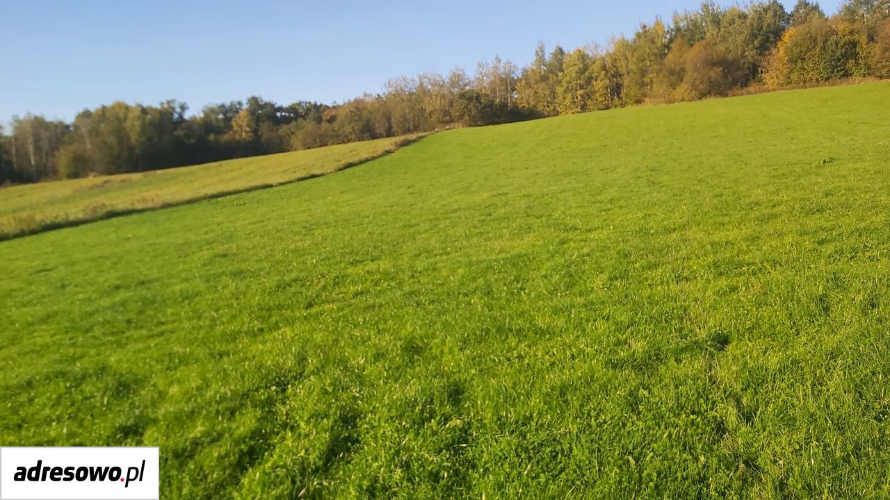 Działka rolno-budowlana Bochnia, ul. Strzelecka. Zdjęcie 4