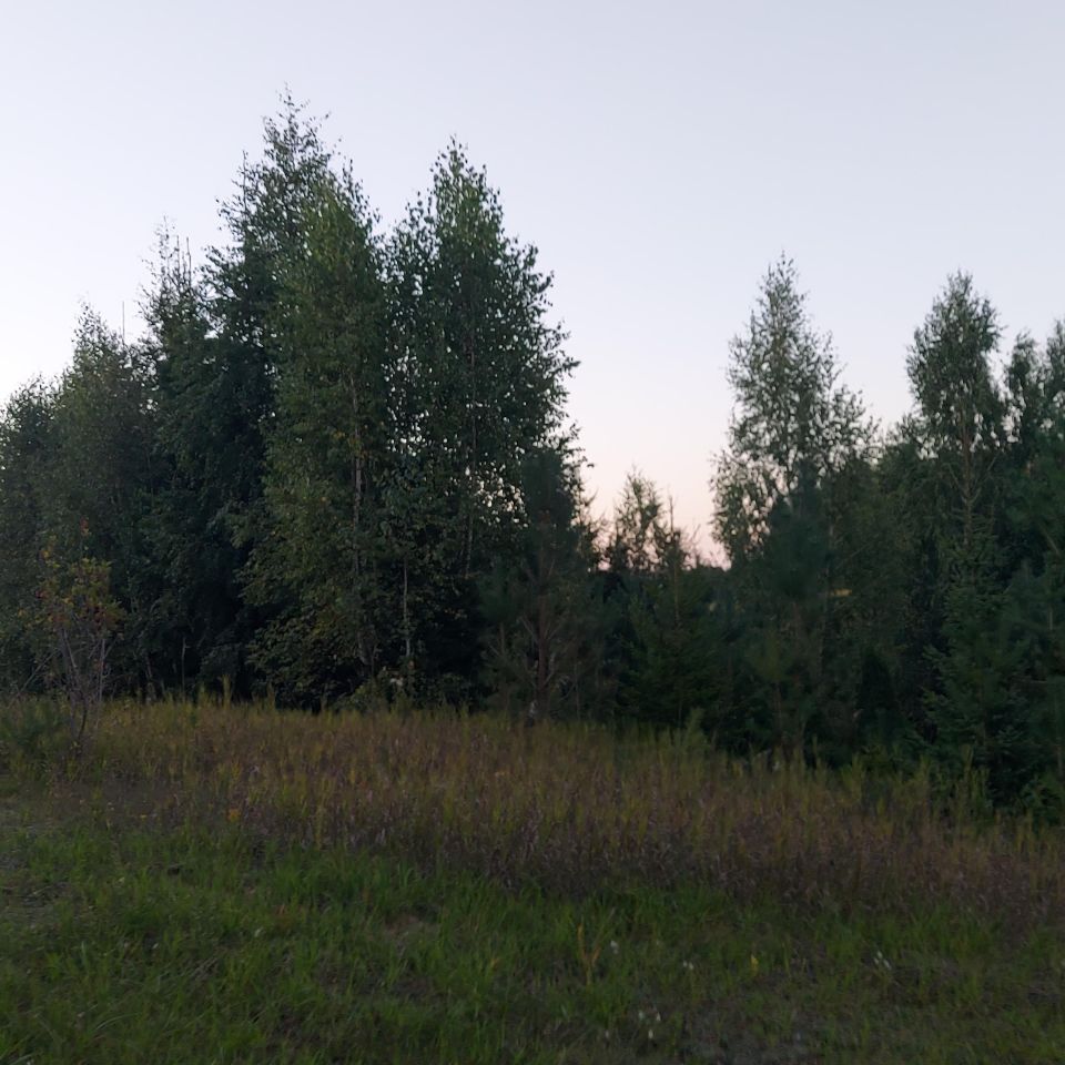 Działka rekreacyjna Oszkinie. Zdjęcie 16