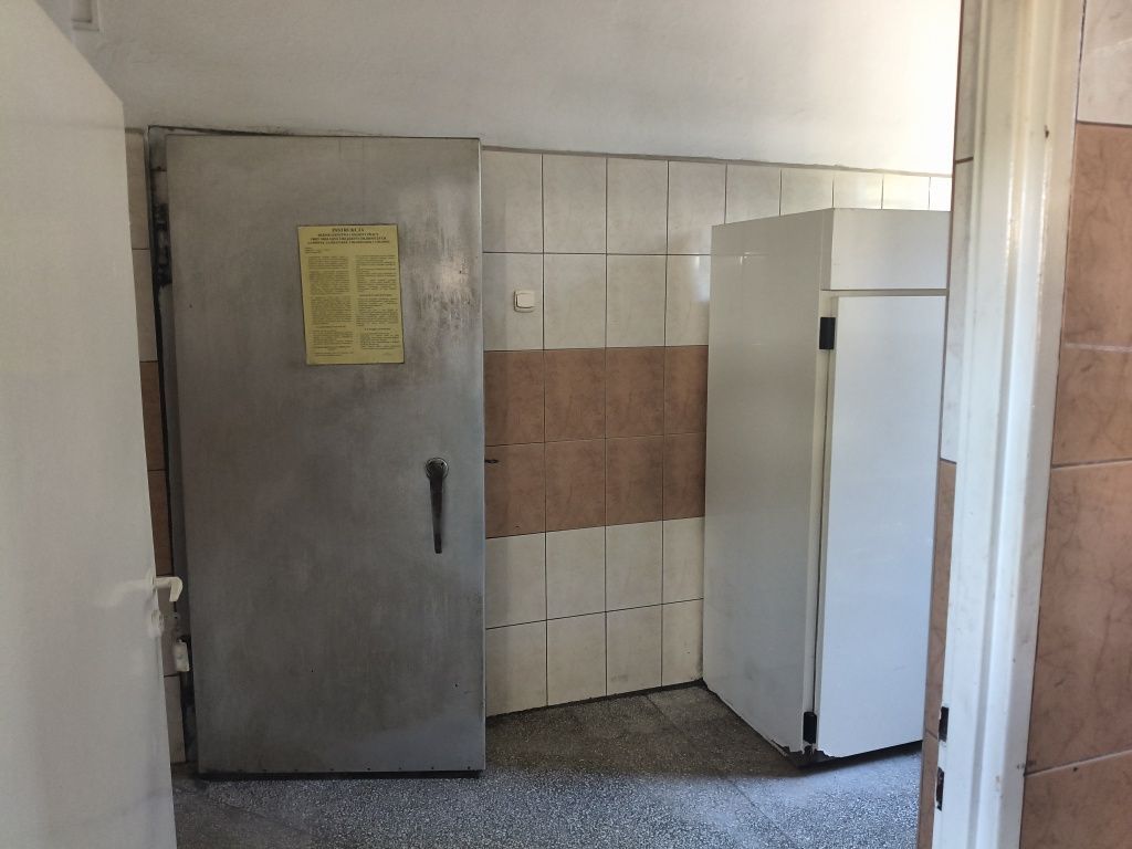 Działka inwestycyjna Krasocin. Zdjęcie 6