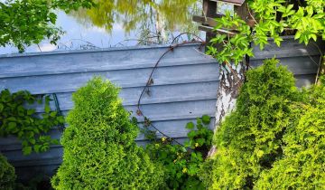 Działka rod Katowice Brynów