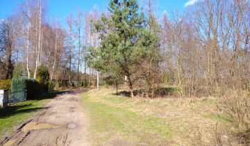 Działka rekreacyjna Stary Dębiec, os. Kasztanowe