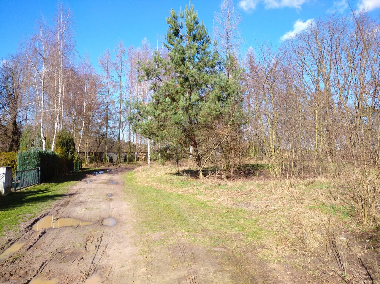 Działka rekreacyjna Stary Dębiec, os. Kasztanowe. Zdjęcie 2