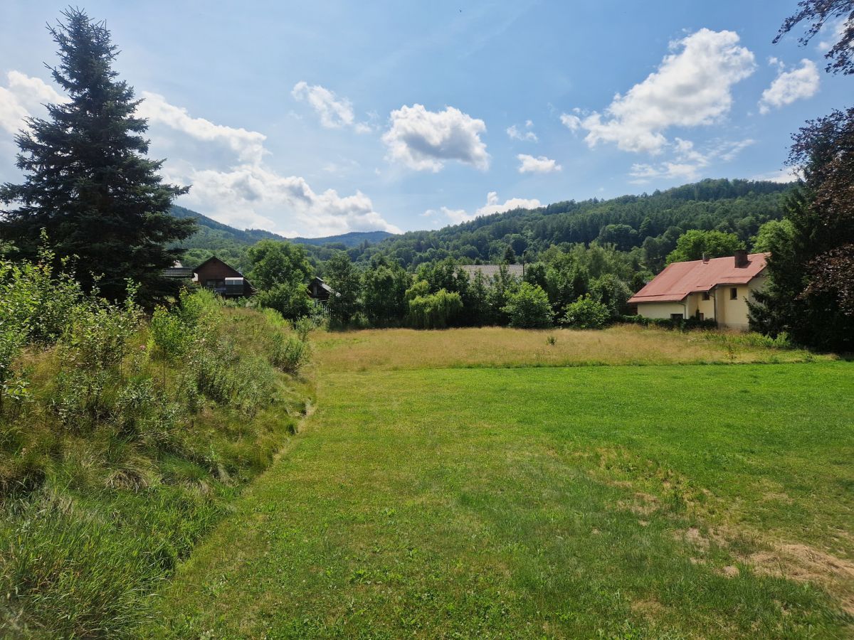 Działka inwestycyjna Sosnówka, ul. Liczyrzepy. Zdjęcie 4