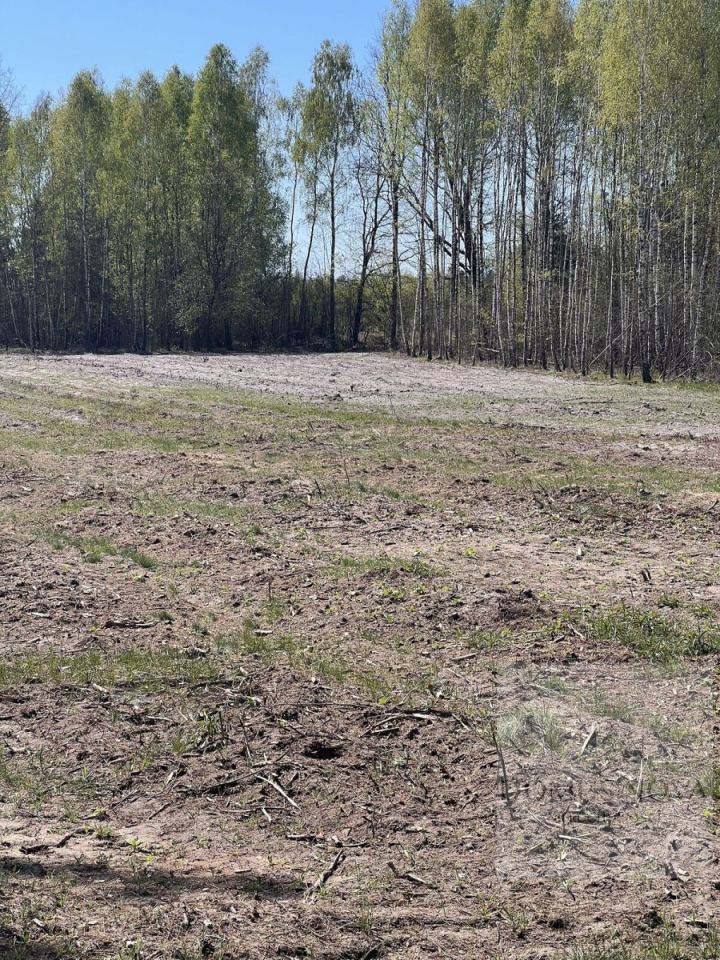 Działka budowlana Czarnocin. Zdjęcie 2