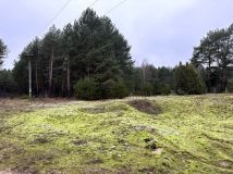 Działka budowlana Sojczynek. Zdjęcie 3