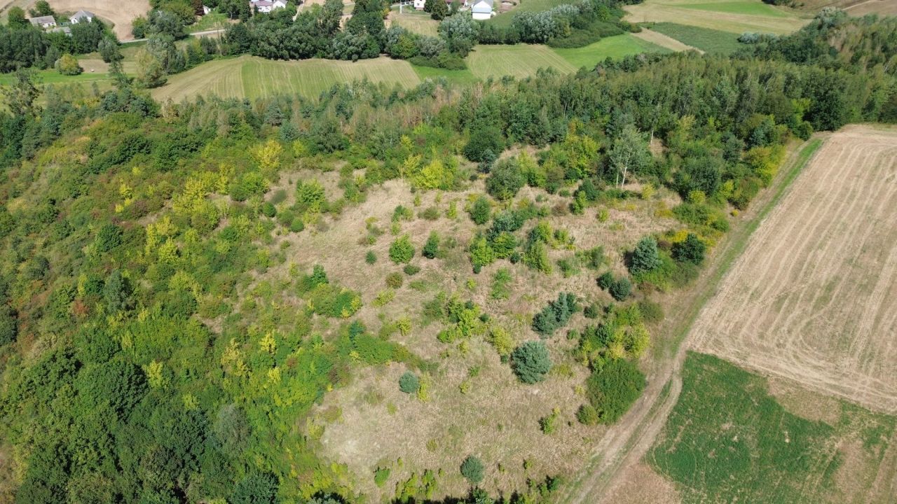 gospodarstwo Łownica. Zdjęcie 4