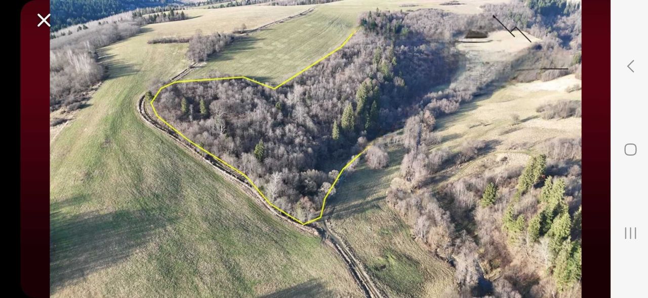 Działka leśna Liskowate