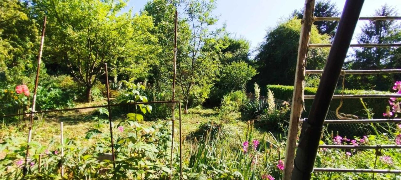 Działka rod Kraków Podgórze, ul. Golikówka. Zdjęcie 3