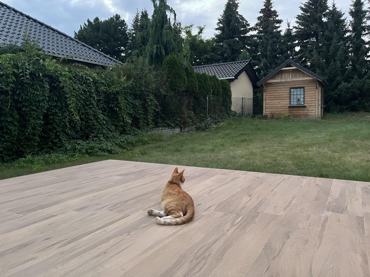 bliźniak, 4 pokoje Borówiec, Widokowa. Zdjęcie 26