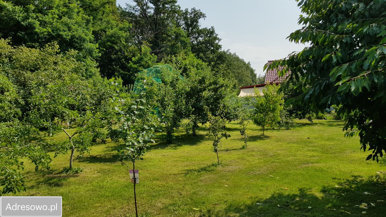 Działka budowlana Trzebiechów, ul. Ogrodowa. Zdjęcie 7