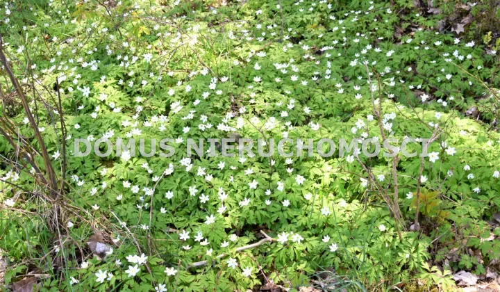 Działka leśna Grębosze