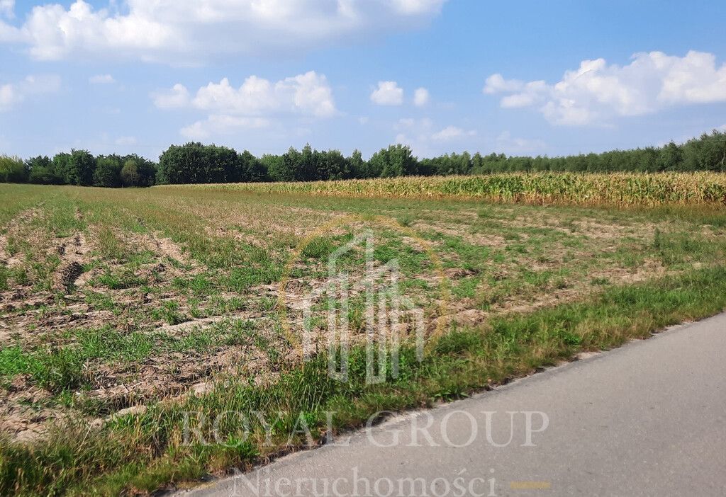 Działka rolna Rudno. Zdjęcie 1