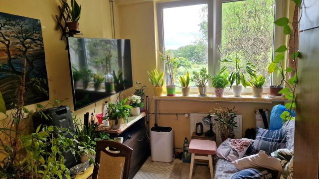 Mieszkanie 2-pokojowe Wrocław Kuźniki, ul. Hermanowska. Zdjęcie 12