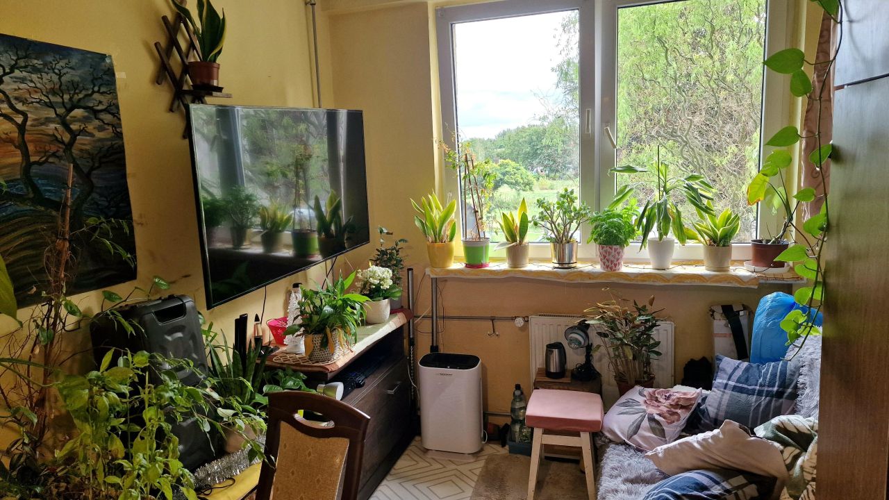 Mieszkanie 2-pokojowe Wrocław Kuźniki, ul. Hermanowska. Zdjęcie 12