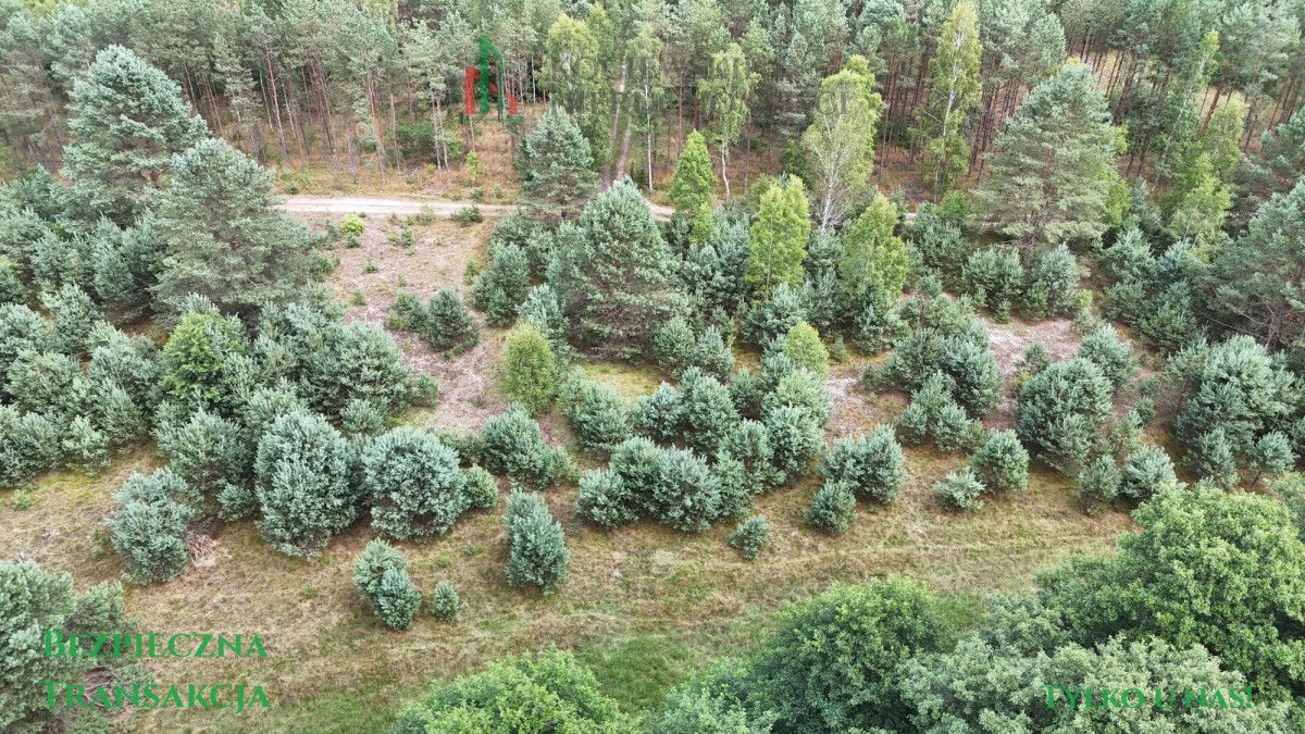 Działka rekreacyjna Zimne Zdroje. Zdjęcie 2