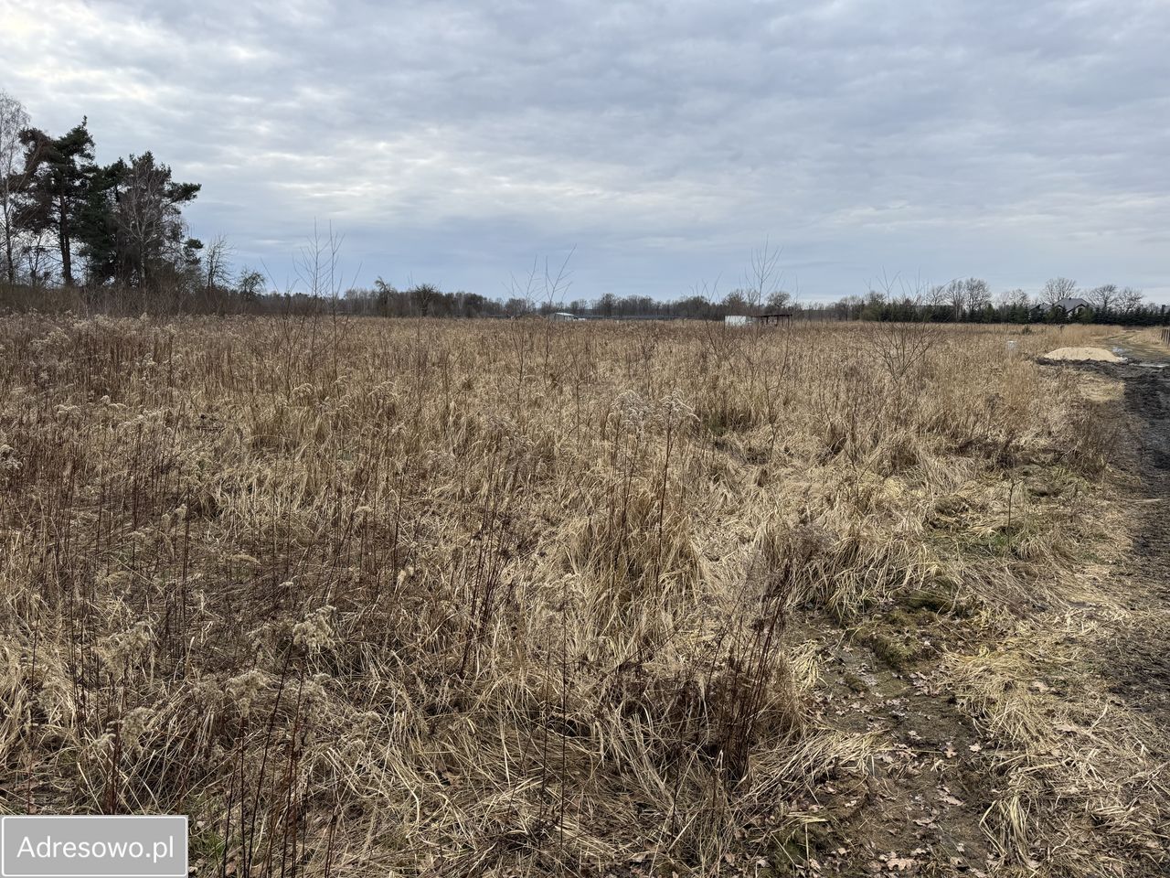 Działka budowlana Dębnik. Zdjęcie 4