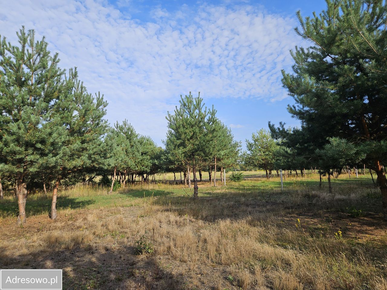 Działka budowlana Miedniewice. Zdjęcie 11