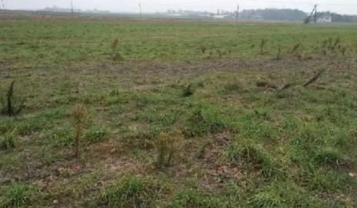 Działka budowlana Szadek