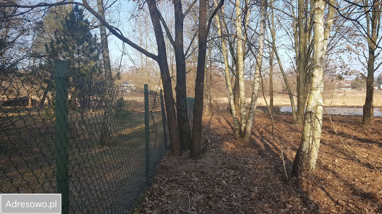 Działka rekreacyjna Głosków, ul. Millenium. Zdjęcie 7