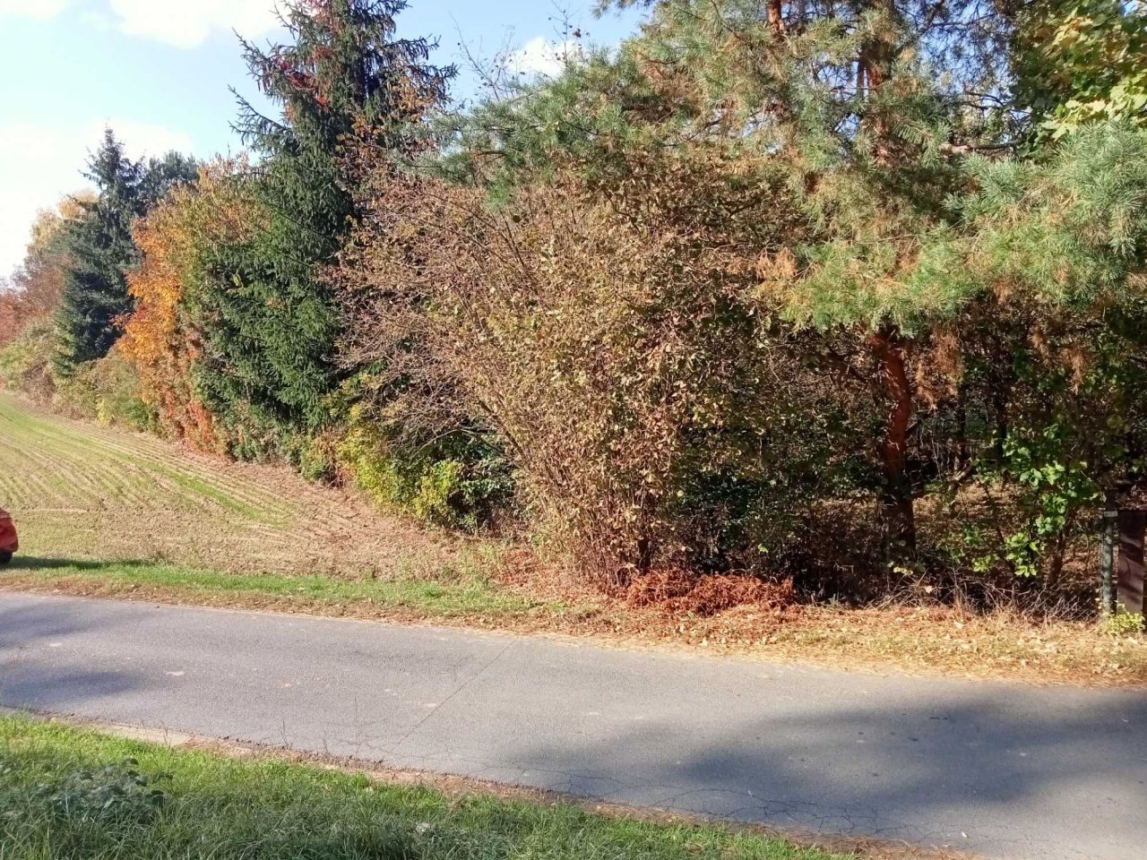 Działka rolna Łęg. Zdjęcie 4