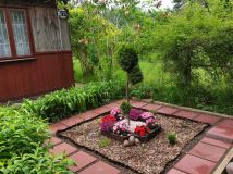 Działka rod Żyrardów, ul. Adama Mickiewicza. Zdjęcie 1