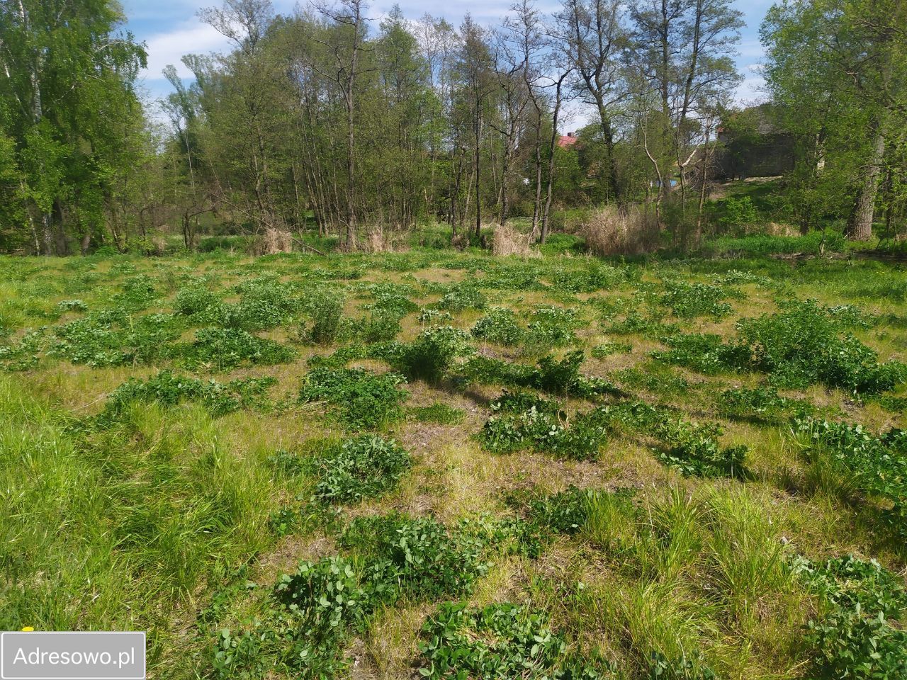 Działka budowlana Dąbrówka Mała. Zdjęcie 9