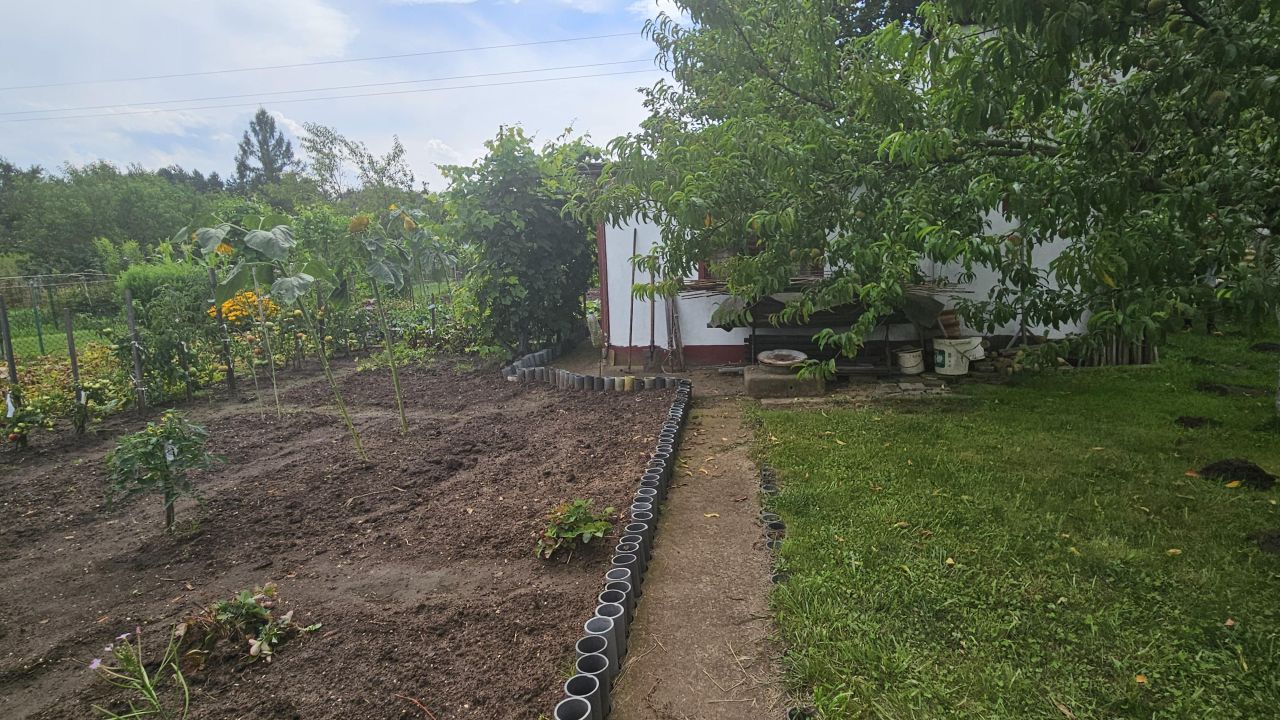 Działka rod Wołów, ul. Spacerowa. Zdjęcie 2