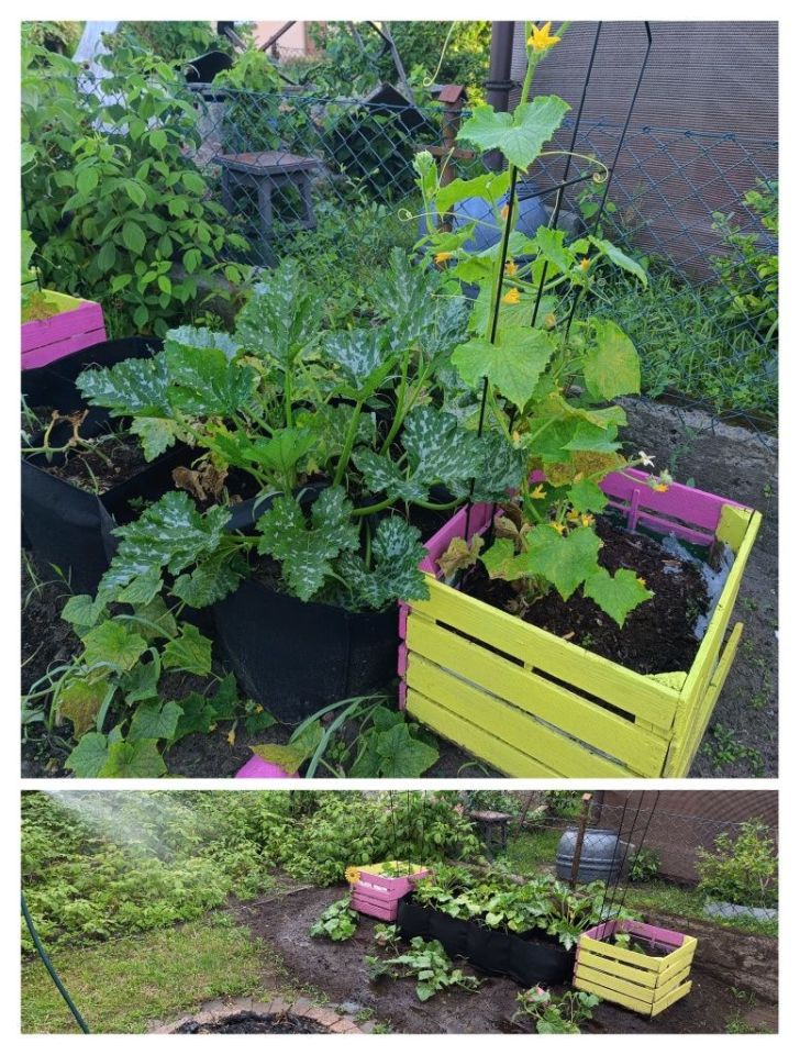 Działka rod Koszalin Rokosowo, ul. św. Wojciecha. Zdjęcie 5