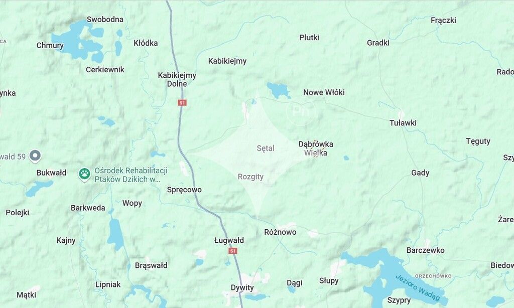 Działka budowlana Dąbrówka Wielka. Zdjęcie 13