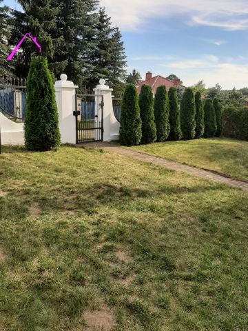 Działka budowlana Sitno. Zdjęcie 9