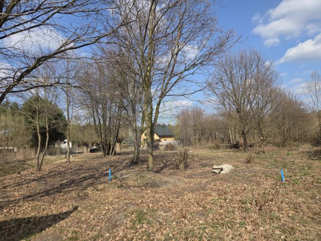 Działka budowlana Międzyborów. Zdjęcie 2