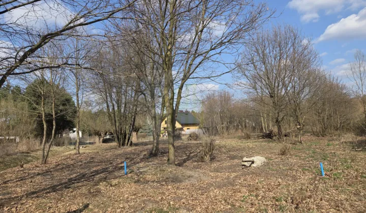 Działka budowlana Międzyborów