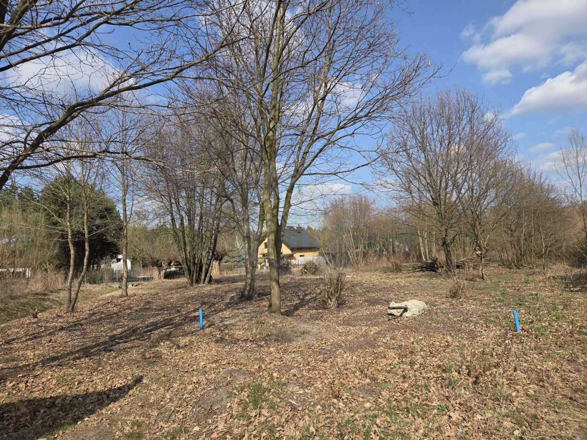 Działka budowlana Międzyborów. Zdjęcie 2