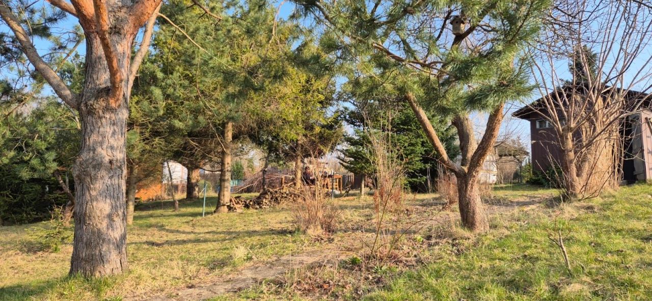 Działka rod Gdańsk Brętowo. Zdjęcie 1