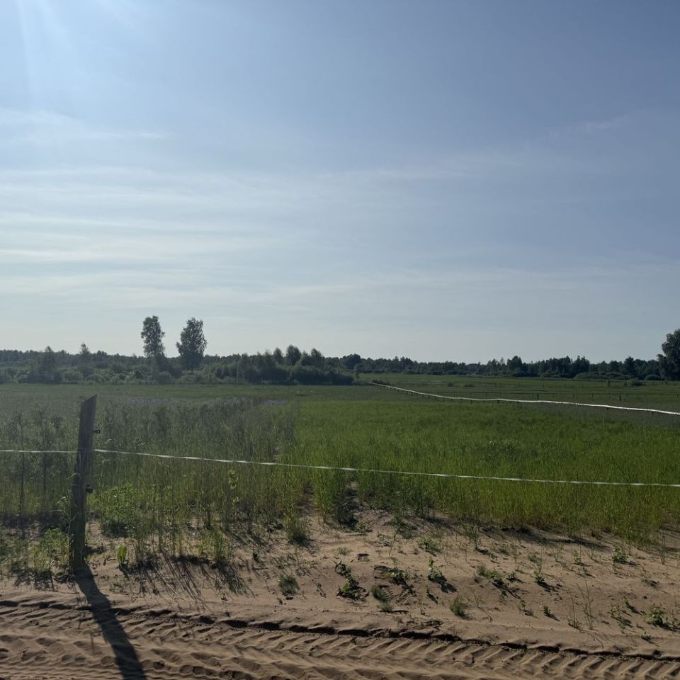 Działka rolno-budowlana Gabowe Grądy. Zdjęcie 4